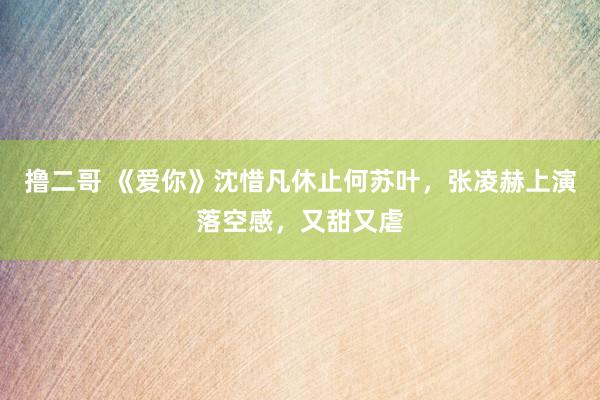 撸二哥 《爱你》沈惜凡休止何苏叶，张凌赫上演落空感，又甜又虐