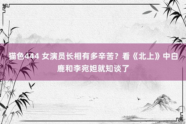 猫色444 女演员长相有多辛苦？看《北上》中白鹿和李宛妲就知谈了