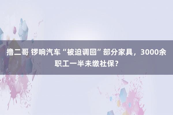 撸二哥 锣响汽车“被迫调回”部分家具，3000余职工一半未缴社保？