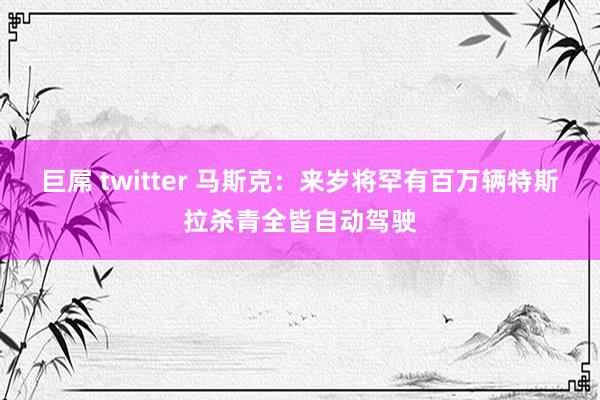 巨屌 twitter 马斯克：来岁将罕有百万辆特斯拉杀青全皆自动驾驶
