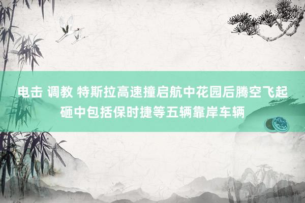 电击 调教 特斯拉高速撞启航中花园后腾空飞起砸中包括保时捷等五辆靠岸车辆