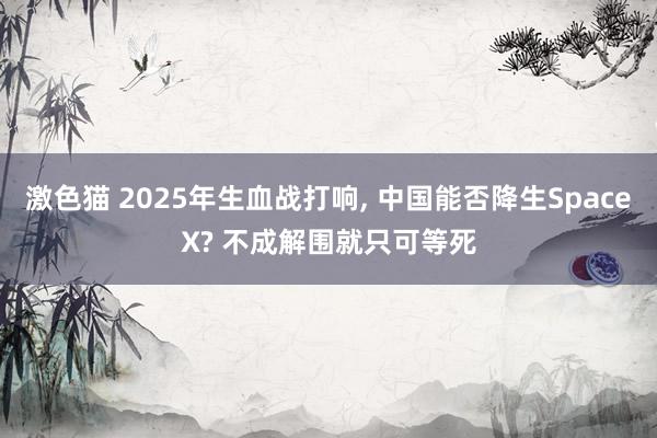 激色猫 2025年生血战打响， 中国能否降生SpaceX? 不成解围就只可等死
