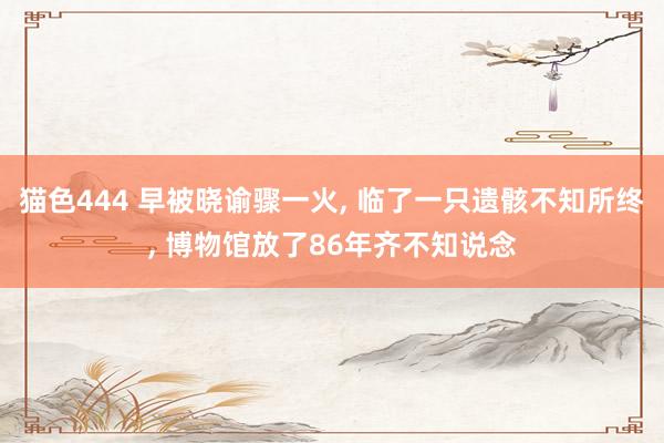 猫色444 早被晓谕骤一火， 临了一只遗骸不知所终， 博物馆放了86年齐不知说念