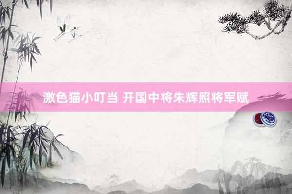 激色猫小叮当 开国中将朱辉照将军赋