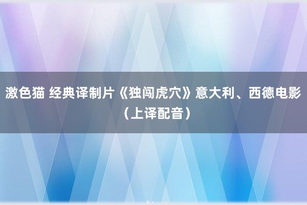 激色猫 经典译制片《独闯虎穴》意大利、西德电影（上译配音）